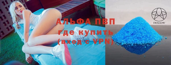 гидра Белокуриха