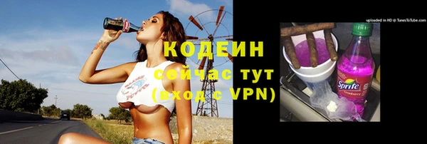 гидра Белокуриха