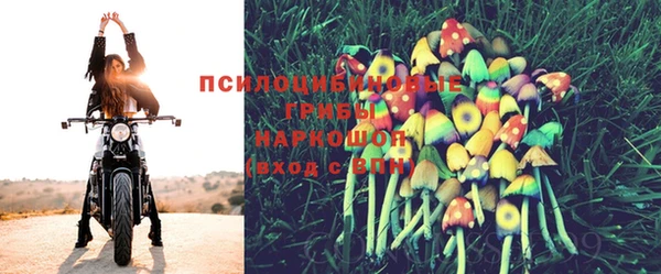 СК Беломорск