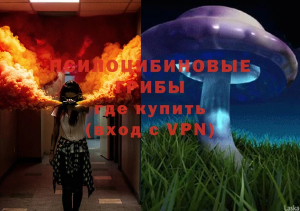 СК Беломорск