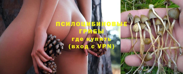 гидра Белокуриха