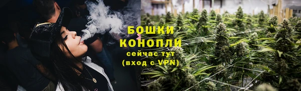 гидра Белокуриха